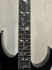 Ibanez RGR8270 「Black Diamond」 NEW モデル!_5