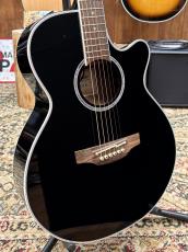 Takamine TDP161C BL【2013年製】_3