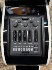 Takamine TDP161C BL【2013年製】_4