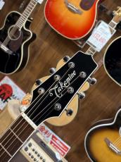 Takamine TDP161C BL【2013年製】_6