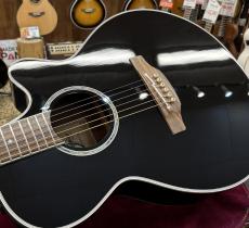Takamine TDP161C BL【2013年製】_10