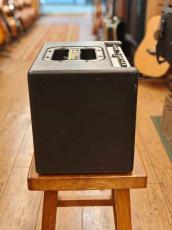 AER Compact 60/3【USED】【アコースティックアンプ】_4