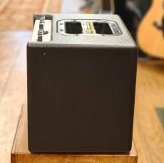 AER Compact 60/3【USED】【アコースティックアンプ】_5
