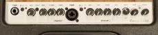 AER Compact 60/3【USED】【アコースティックアンプ】_6