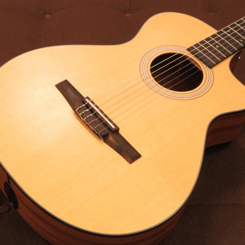 Taylor 112ce-Nylon 【エレガット】【ナット幅細め】