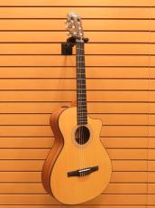 Taylor 112ce-Nylon 【エレガット】【ナット幅細め】_2