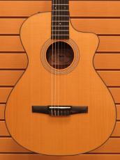 Taylor 112ce-Nylon 【エレガット】【ナット幅細め】_4