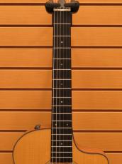 Taylor 112ce-Nylon 【エレガット】【ナット幅細め】_7