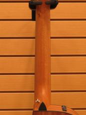 Taylor 112ce-Nylon 【エレガット】【ナット幅細め】_8