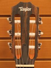 Taylor 112ce-Nylon 【エレガット】【ナット幅細め】_9