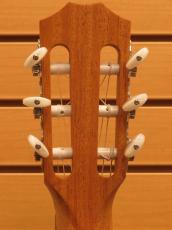 Taylor 112ce-Nylon 【エレガット】【ナット幅細め】_10