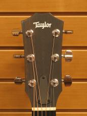 Taylor 212ce_9