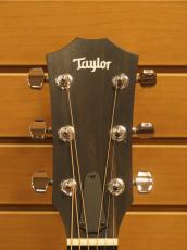Taylor 214ce_9