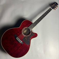 Takamine 【現物画像】DMP50S WR エレアコギター セミハードケース付属 【島村楽器 x Takamine コラボモデル】_2