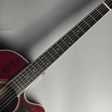 Takamine 【現物画像】DMP50S WR エレアコギター セミハードケース付属 【島村楽器 x Takamine コラボモデル】_3