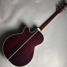 Takamine 【現物画像】DMP50S WR エレアコギター セミハードケース付属 【島村楽器 x Takamine コラボモデル】_6
