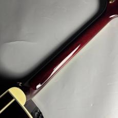 Takamine 【現物画像】DMP50S WR エレアコギター セミハードケース付属 【島村楽器 x Takamine コラボモデル】_7