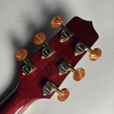 Takamine 【現物画像】DMP50S WR エレアコギター セミハードケース付属 【島村楽器 x Takamine コラボモデル】_8