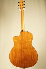 Taylor 214ce Plus #2201135394【エレアコ】【ローズウッド】_7