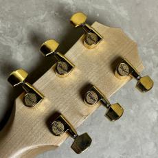 Taylor 【島村楽器オリジナルモデル】EG-224ce Urban Ash エレアコギター_5