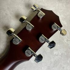 Taylor 【島村楽器オリジナルモデル】EG-214ce Urban Ash エレアコギター_5