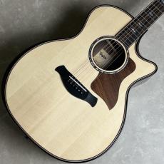 Taylor Builder's Edition 814ce【現物画像】