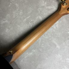 Taylor 222ce-K DLX【現物画像】_6