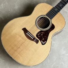Taylor Gold Label 814e【現物画像】