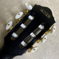 Ibanez FRH20QMN CTL エレガットギター【現物画像】_5