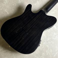 Ibanez FRH20QMN CTL エレガットギター【現物画像】_7
