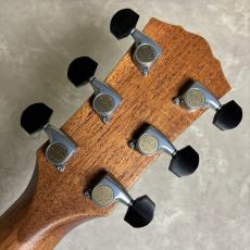 Taylor Gold Label 814e【現物画像】_5