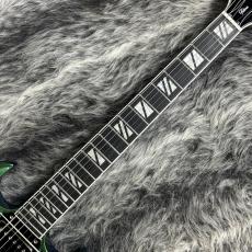 Epiphone Futura SG Custom Dragonfly Shift_4