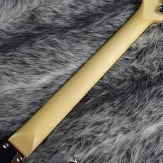 Fender Standard Stratocaster Candy Cola_7