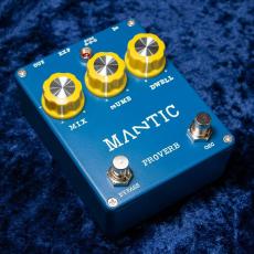 Mantic Effects Proverb_2