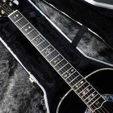 Ovation N619 Custom Legend_4