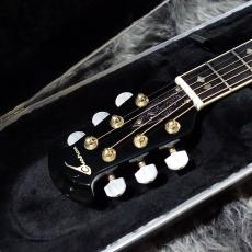 Ovation N619 Custom Legend_5