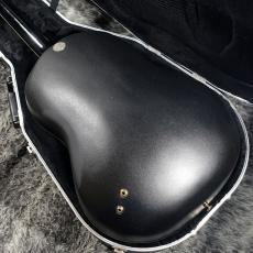 Ovation N619 Custom Legend_7