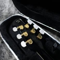 Ovation N619 Custom Legend_9