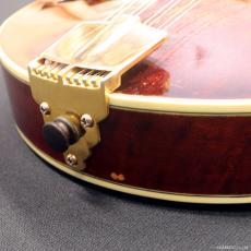 Eastman Flat Mandolin MD-815/AR [Classic Finish]_9