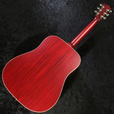 Gibson 【久しぶりの入荷】【2026年製】Hummingbird Special  #22046053【高音域の倍音◎】_8
