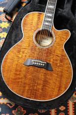 Takamine 【薄胴ボディ】TSP178ACK N #63120054 【送料当社負担・最大48回分割無金利】