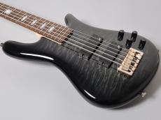 Spector NS Icon Bolt-On 5 / Black Stain Gloss【5弦】【軽量4.08kg】_3