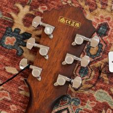 Ibanez AE140-WKH (Weathered Black Open Pore top)【特価】_9