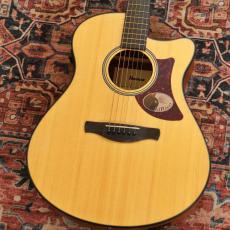 Ibanez AAM50CE-OPN (Open Pore Natural) -Advanced Acoustic-【特価】