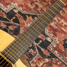 Ibanez AAM50CE-OPN (Open Pore Natural) -Advanced Acoustic-【特価】_4