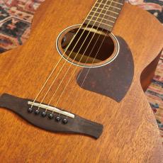 Ibanez PN12MHE OPN (Open Pore Natural) 【特価】_3