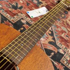 Ibanez PN12MHE OPN (Open Pore Natural) 【特価】_4