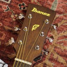 Ibanez PN12MHE OPN (Open Pore Natural) 【特価】_5