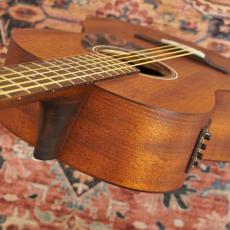 Ibanez PN12MHE OPN (Open Pore Natural) 【特価】_6