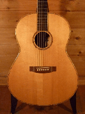 Roy Noble Consert Custom   '91_2